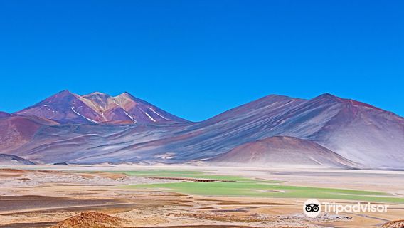Salar de Aguas Calientes