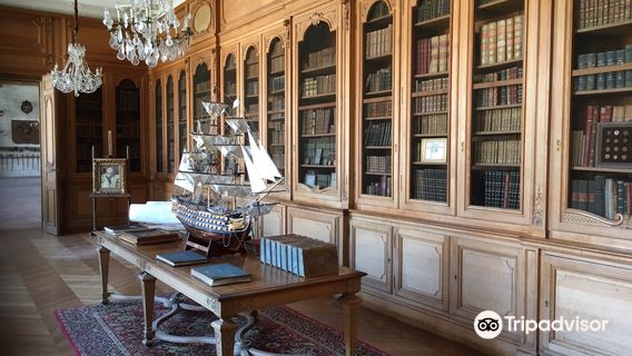 Castle of Saint-Fargeau