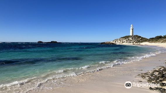 Đảo Rottnest