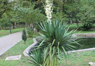 Zugdidi Botanical Garden