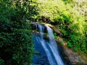 Silver Run Falls Trailhead