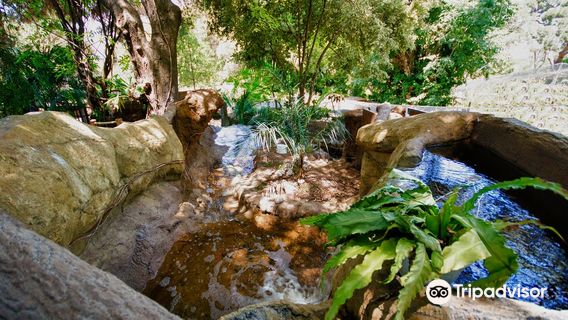 Alameda Wildlife Park