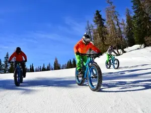 Ski School Avoriaz - Evolution 2