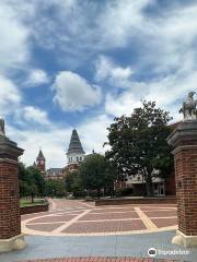 Toomer's Corner