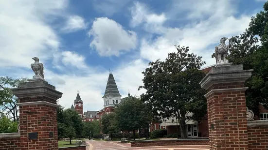 Toomer's Corner