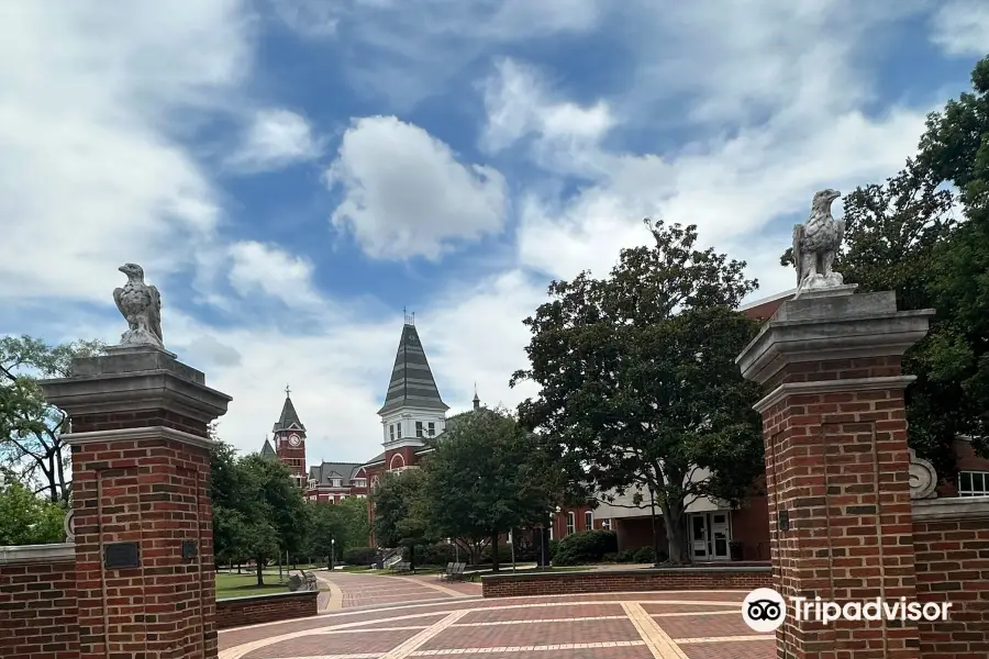 Toomer's Corner