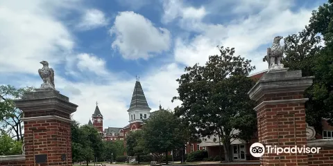 Toomer's Corner