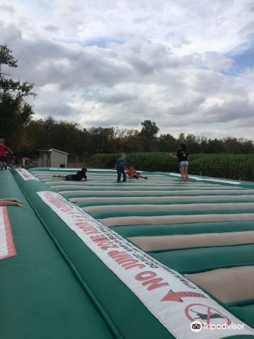 P and M Pumpkin Ranch, LLC