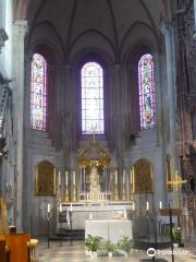 Cattedrale di Grenoble