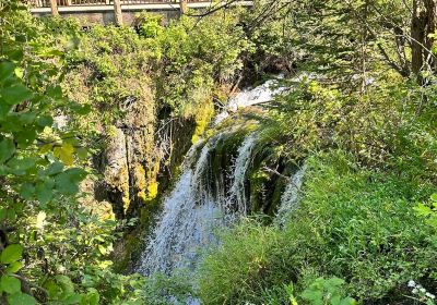 Roughlock Falls Nature Area