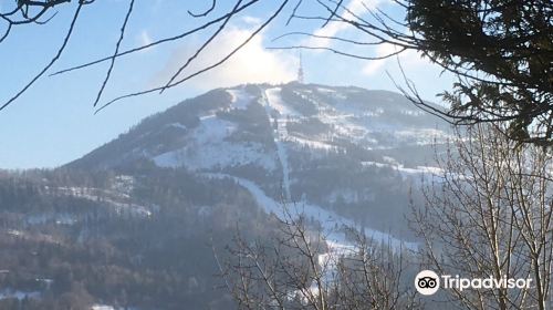 Park Krajobrazowy Beskidu Slaskiego/Beskid Slaski landscape park