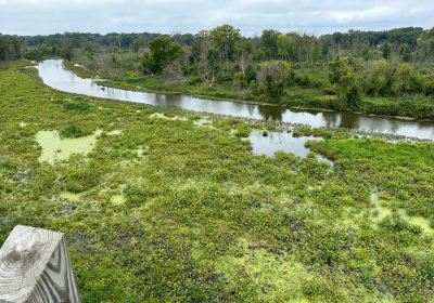 Galien River County Park