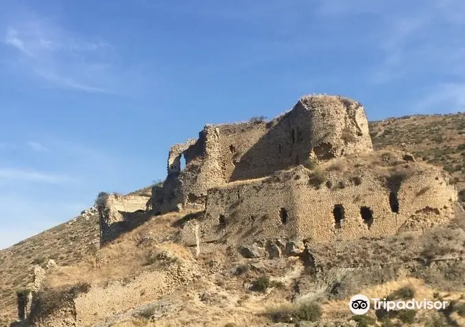 Bakras Castle