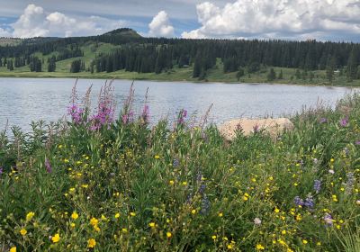 Routt National Forest