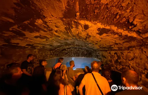 Viterbo Underground導覽門票成人