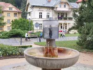 Spring of Dr. Stastny