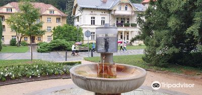 Spring of Dr. Stastny