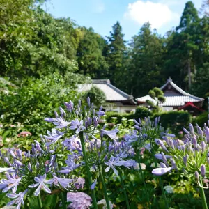 Gokuraku-ji Temple