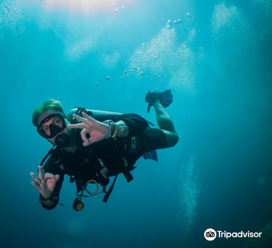 2_Flip Flop Divers