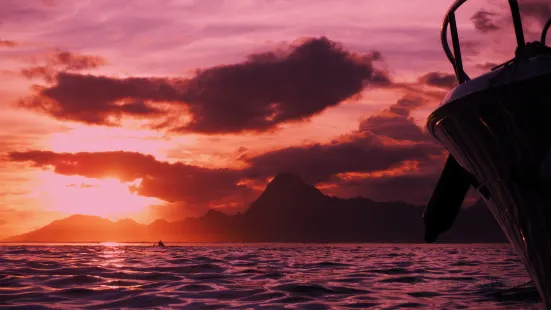 Tahiti Lagoon Paradise