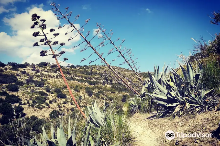 Sicily By Nature