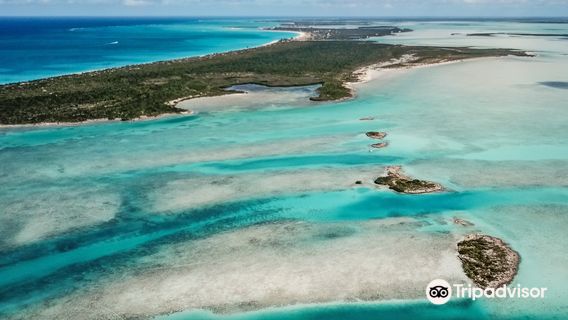 Wake To Wake Watersports