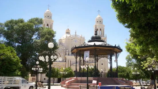 Catedral Hermosillo