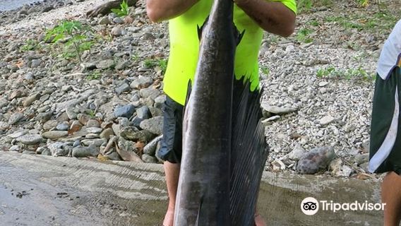 Pago Pago Marine Charters