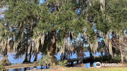 Fairview-Riverside State Park