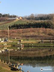 Lago Felloniche dal Garnadone