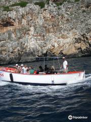 Piccola Nautica - day tours and boat rentals