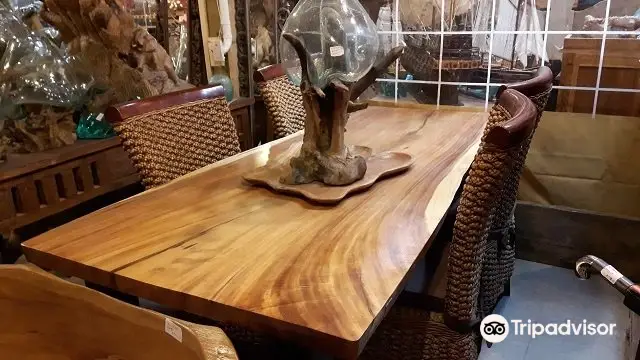 5_Primitive Designs