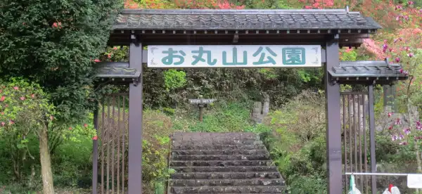 Hotels in Sakura
