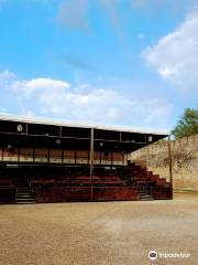 Palacio Caballero de Olmedo