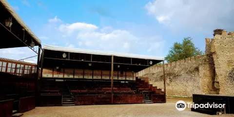 Palacio Caballero de Olmedo