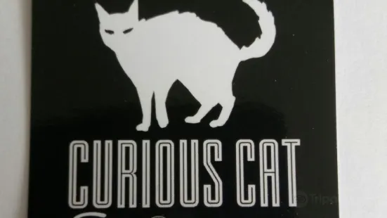 Curious Cat Escape Room
