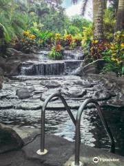 Titoku Hot Springs