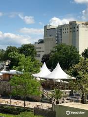 Stadtstrand Schweinfurt