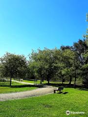 Parque de Avioso - S. Pedro