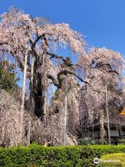 慈雲寺