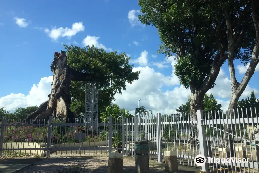 Parque de la Ceiba