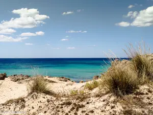 Dune di Campomarino