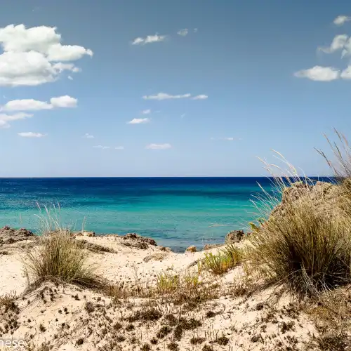 Dune di Campomarino