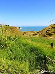 White Cliffs Walkway