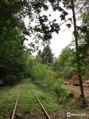 Südpfalz Draisinenbahn