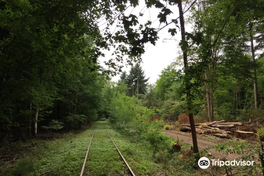 Südpfalz Draisinenbahn