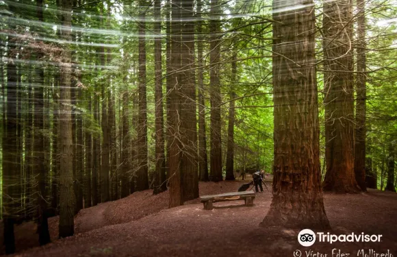 聖維森特-德拉巴爾克拉