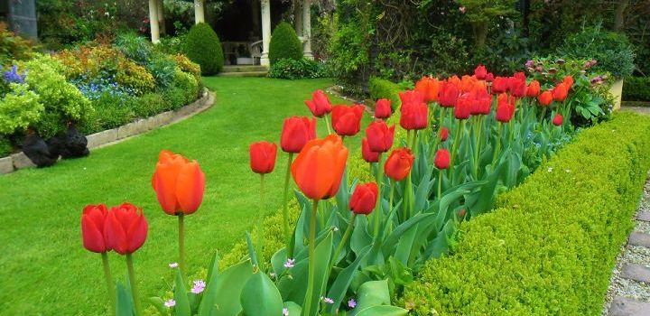 Gardens / venue at Rockvale