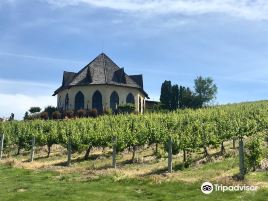 Ste. Chapelle Winery & Tasting Room