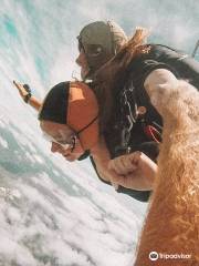 Skydive Ballistic Blondes Whangarei